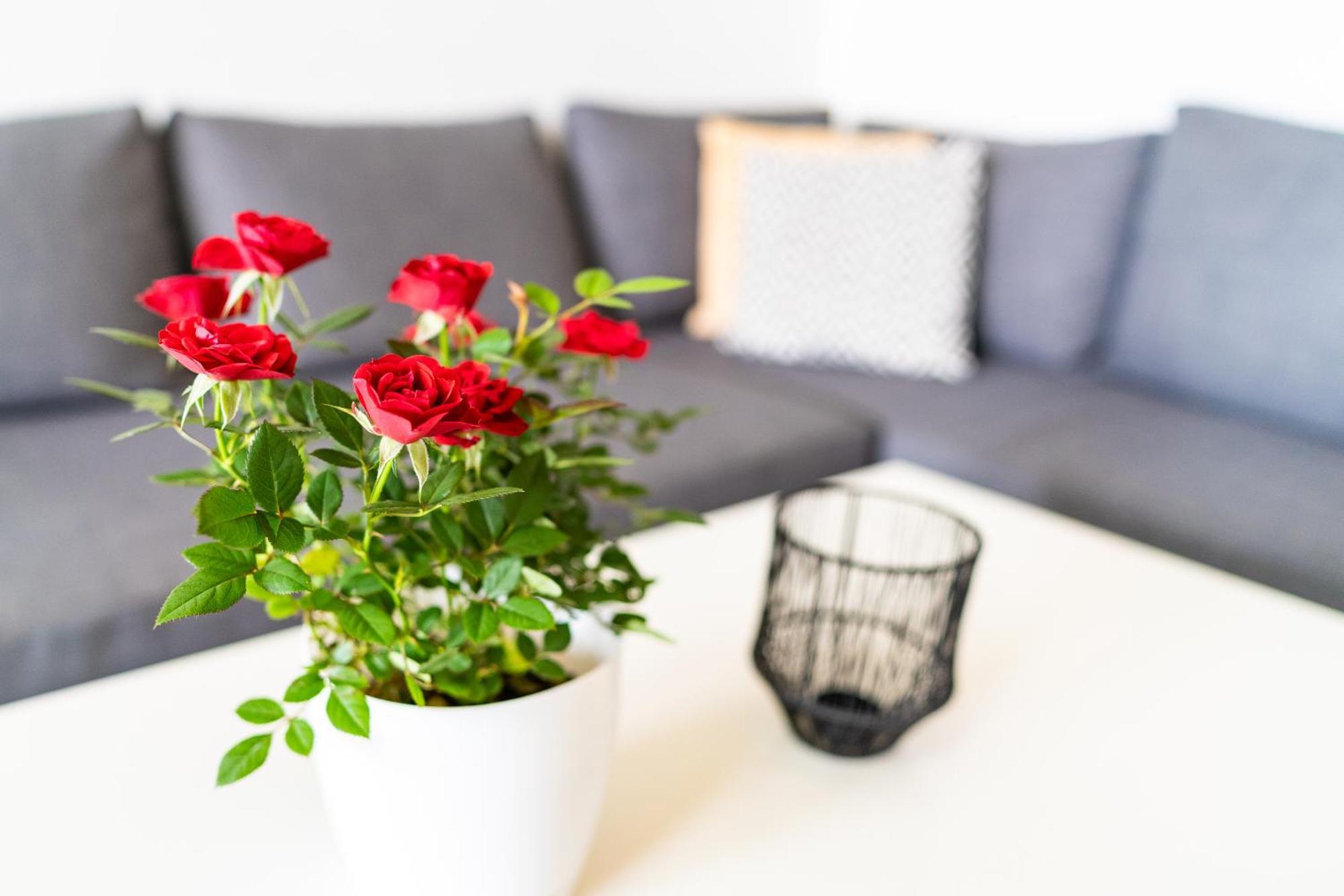 Sweet Rooms Bubesheim Ngoại thất bức ảnh